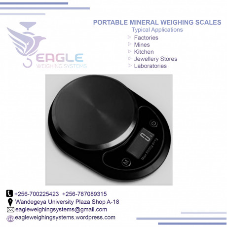 electronic-weighing-balance-portable-weighing-scale-in-kampala-big-0