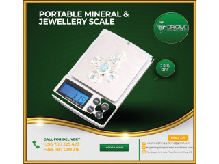 Multi-function Stainless Steel Digital Portable Scale