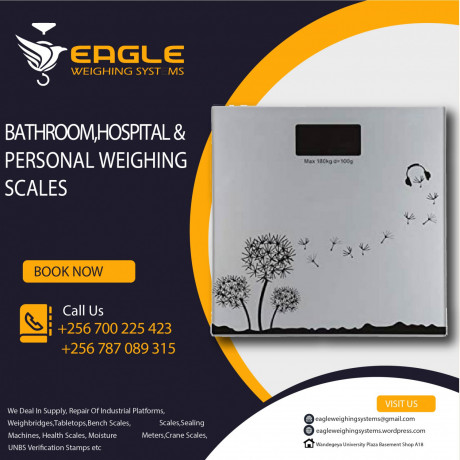 personal-body-weighing-scales-big-0