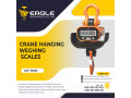 digital-hanging-scale50kg-capacity-small-0