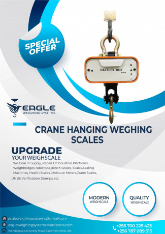 hook-scales-for-weighing-fish-big-0
