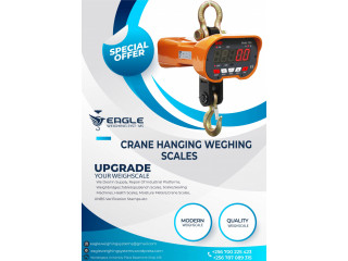 Electronic luggage scales