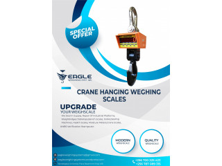 Industrial hanging/weighing crane scale