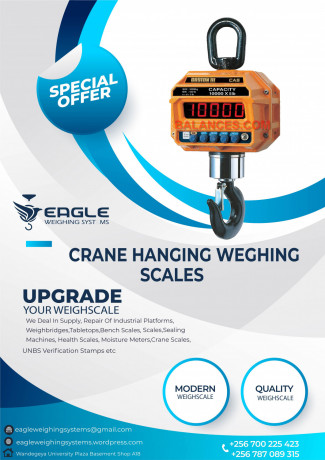 eletronic-weighing-big-0