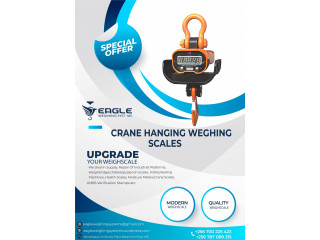 Crane scales 200kg