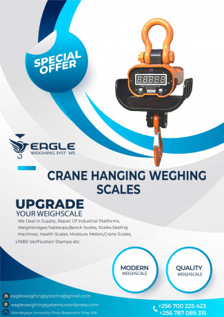 crane-scales-200kg-big-0