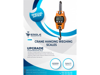 Digital Crane Portable Electronic Weighing Scales