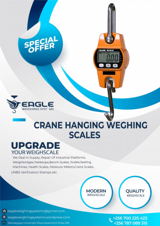 digital-crane-portable-electronic-weighing-scales-big-0