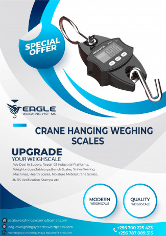 digital-bluetooth-hook-hanging-crane-scale-big-0