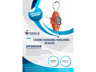 Hanging Weighing Scales 50Kg