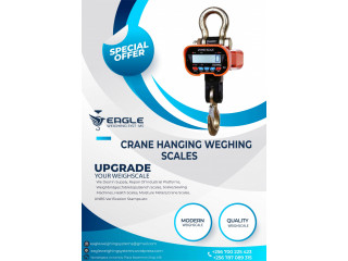 High Precision Hanging Digital Scale