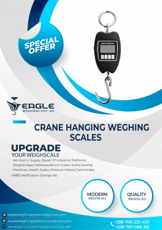 hanging-weighing-scales-big-0