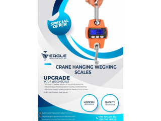 Digital Hanging Weighing Portable Scales