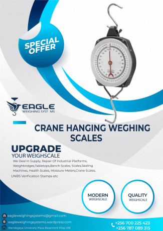 luggage-electronic-scale-with-capacity-50kg-big-0