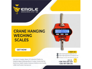 Digital Travel Hanging Weighing Scales For Luggage