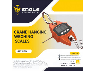 Dual face Spring hanging scales