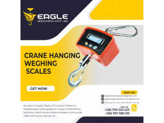 20kg high accuracy Double-sided hanging scales