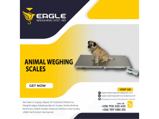 What is the price of animal weighing scale in Kampala ?