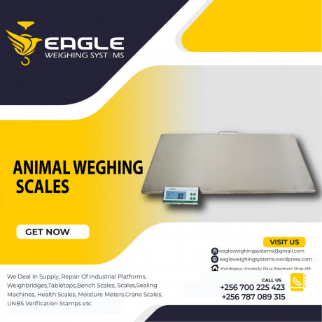 do-you-need-a-cattle-weighing-scale-in-kampala-uganda-big-0