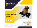 animal-bench-weighing-scales-in-kampala-uganda-small-0