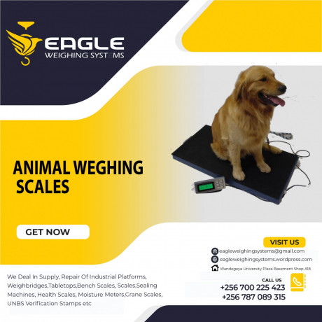 animal-bench-weighing-scales-in-kampala-uganda-big-0