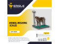 animal-tcs-system-electronic-bench-weighing-digital-platform-scales-uganda-small-0