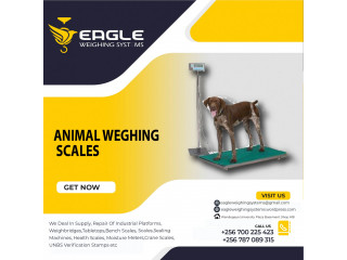 Animal TCS system electronic bench weighing digital platform scales Uganda