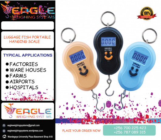 digital-crane-portable-electronic-weighing-scales-in-kampala-big-0