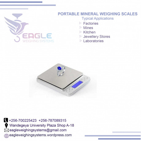 professional-mini-001-x-300g-portable-scales-in-kampala-big-0