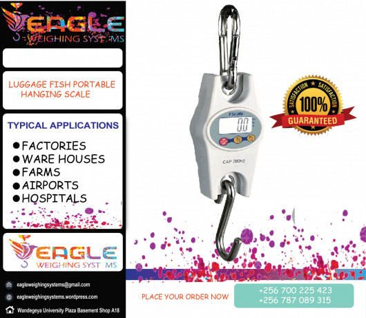 mini-electronic-hanging-weighing-scales-in-kampala-big-0