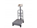 digital-carbon-steel-platform-bench-scale-with-a12e-weighing-indicator-small-0