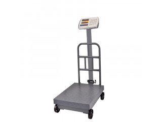 Digital Carbon Steel Platform Bench Scale with A12E Weighing Indicator