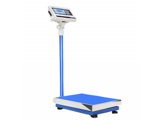 Made In South Korea 300kg Electronic Digital Platform Weighing Scale