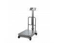 digital-price-display-weight-platform-scale-small-0