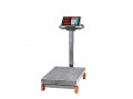 300kg-digital-platform-weighing-scale-small-0