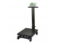 cheapest-digital-pricing-platform-scale-100kg-3040cm-small-0