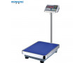 100kg-high-quality-fruit-vegetable-weighing-electronic-price-scale-with-guardrail-small-0