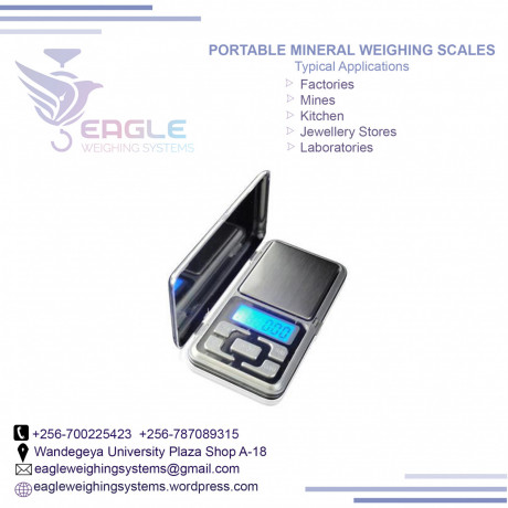 500g001g-portable-electronic-laboratory-school-scale-in-namanve-big-0