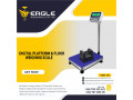 digital-weighing-platform-stainless-steel-scale-small-0