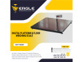 heavy-duty-floor-scale-for-cargos-small-0