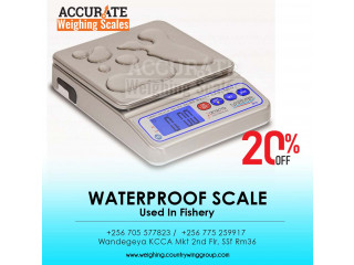 Rechargeable battery waterproof weighing scale