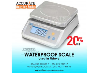 Fast and accurate waterproof weighing scale