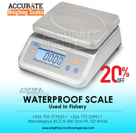 fast-and-accurate-waterproof-weighing-scale-big-0