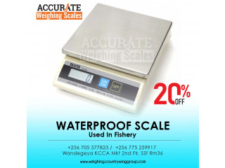 Waterproof scale Perfect for food prep, grocery stores