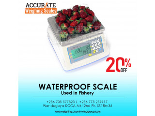 Wide pan waterproof weighing scale