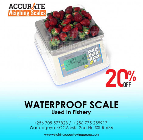 wide-pan-waterproof-weighing-scale-big-0