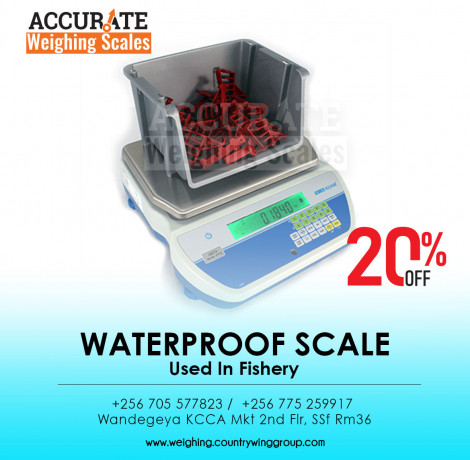 high-capacity-digital-waterproof-scale-series-big-0