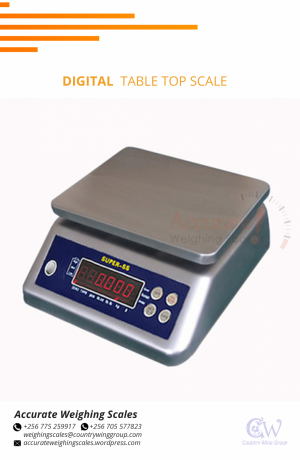 wps-waterproof-scale-30kg-capacity-digital-type-big-0