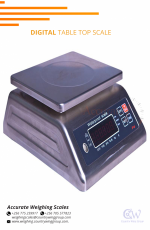 water-immersion-digital-weight-scale-big-0