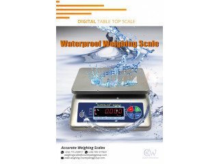 Digital waterproof weight stainless steel scales